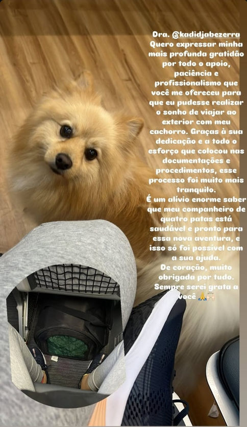 Depoimento de cliente com cachorro em transportadora