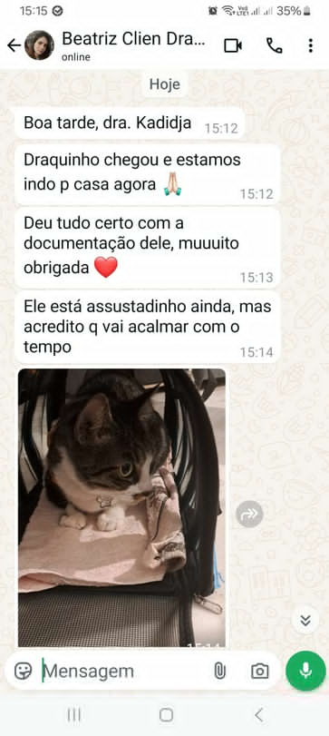 Conversa de WhatsApp com cliente sobre viagem com gato