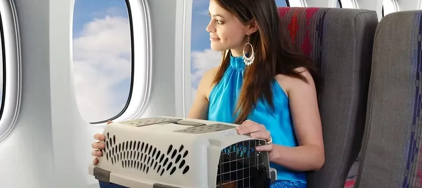 Assessoria para viagens internacionais com pets
